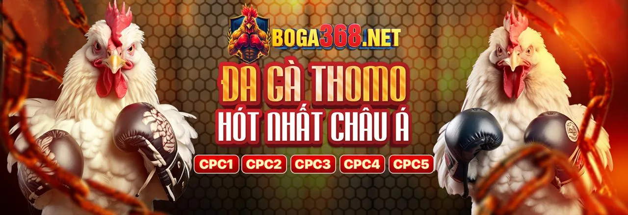 Hình ảnh đại diện 58vin login, thể hiện sự sang trọng và trải nghiệm cá cược đỉnh cao