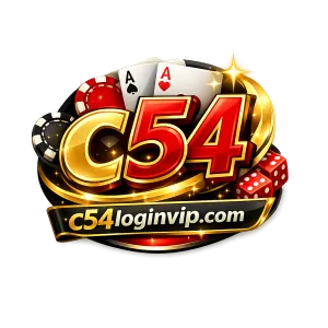 Tính năng bảo mật của 58vin login, bảo vệ thông tin người dùng